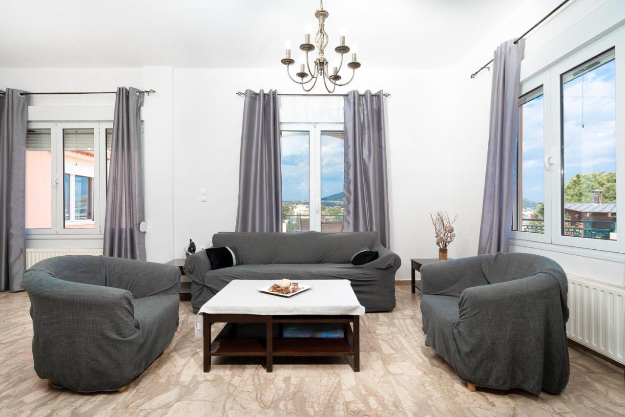 Mtc-D Apartments By The Sea And Airport Pórto Ráfti 外观 照片